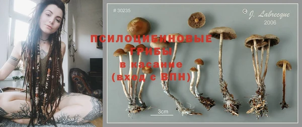 метамфетамин Богданович