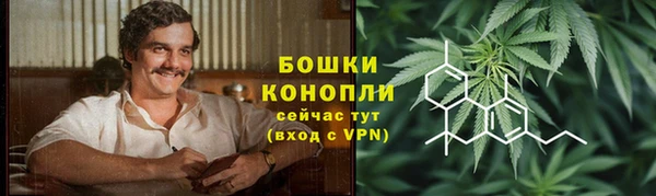 индика Богородск