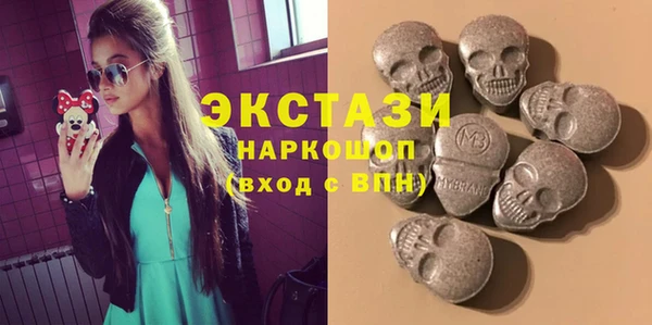 индика Богородск