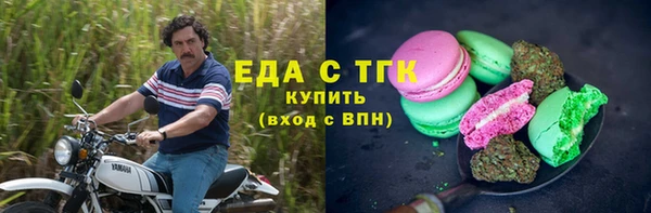 индика Богородск