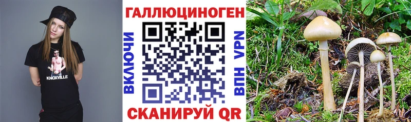 Галлюциногенные грибы ЛСД MEGA вход Юхнов купить наркотики цена